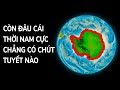 Nam Cực Đã Từng Có Khí Hậu Nhiệt Đới