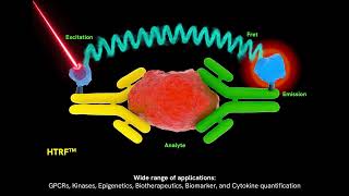 Illuminating Molecular Interactions: 3D Visualization of HTRF Reactions
