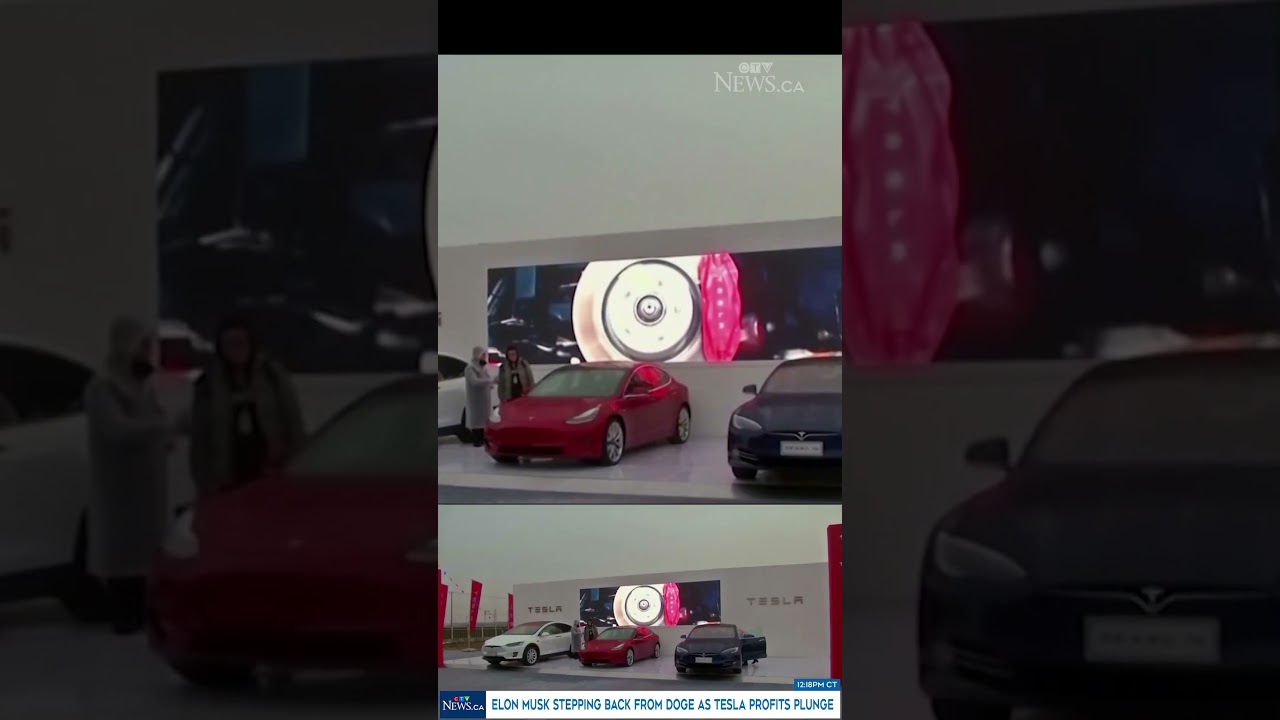 Elon Musk stepping back from DOGE as Tesla profits plunge - YouTube