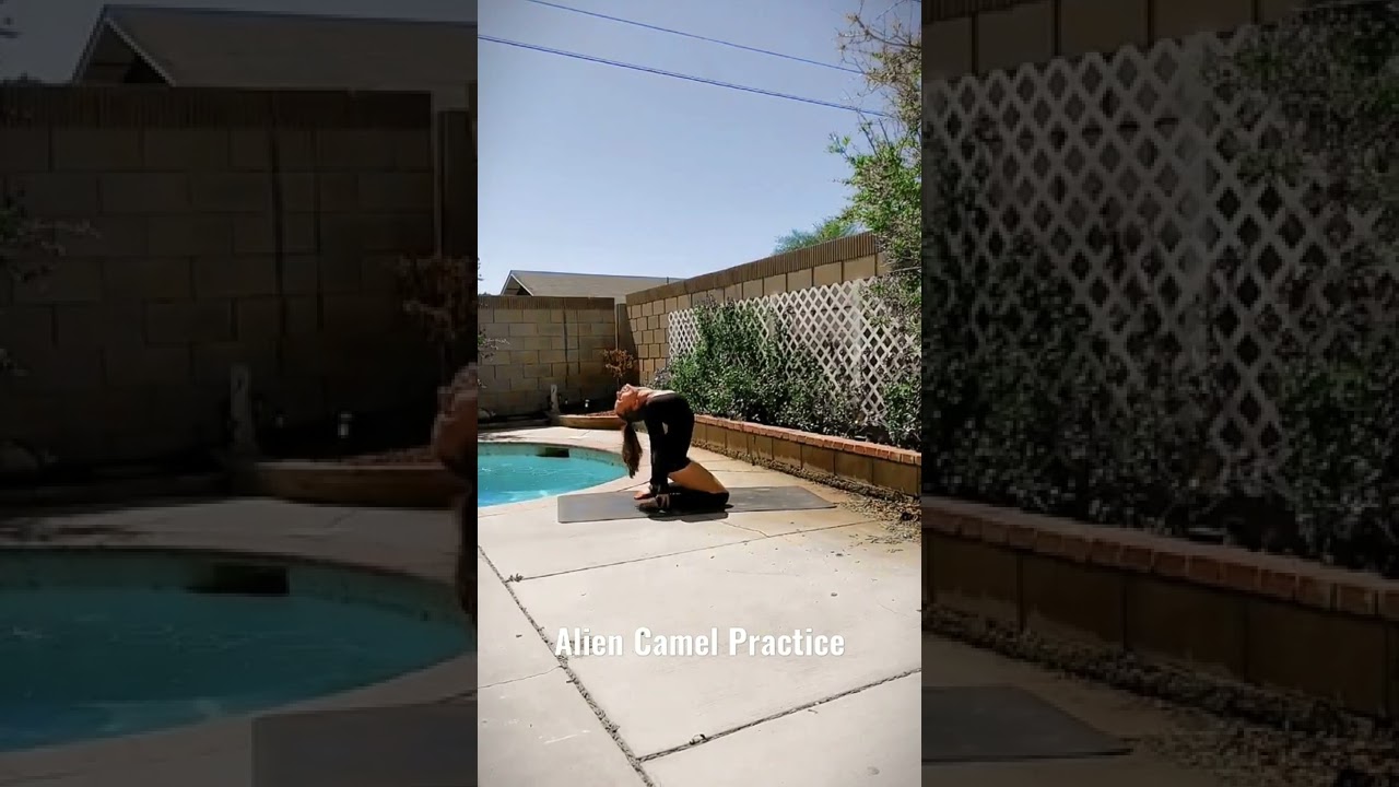 certified yoga teacher - free online flows