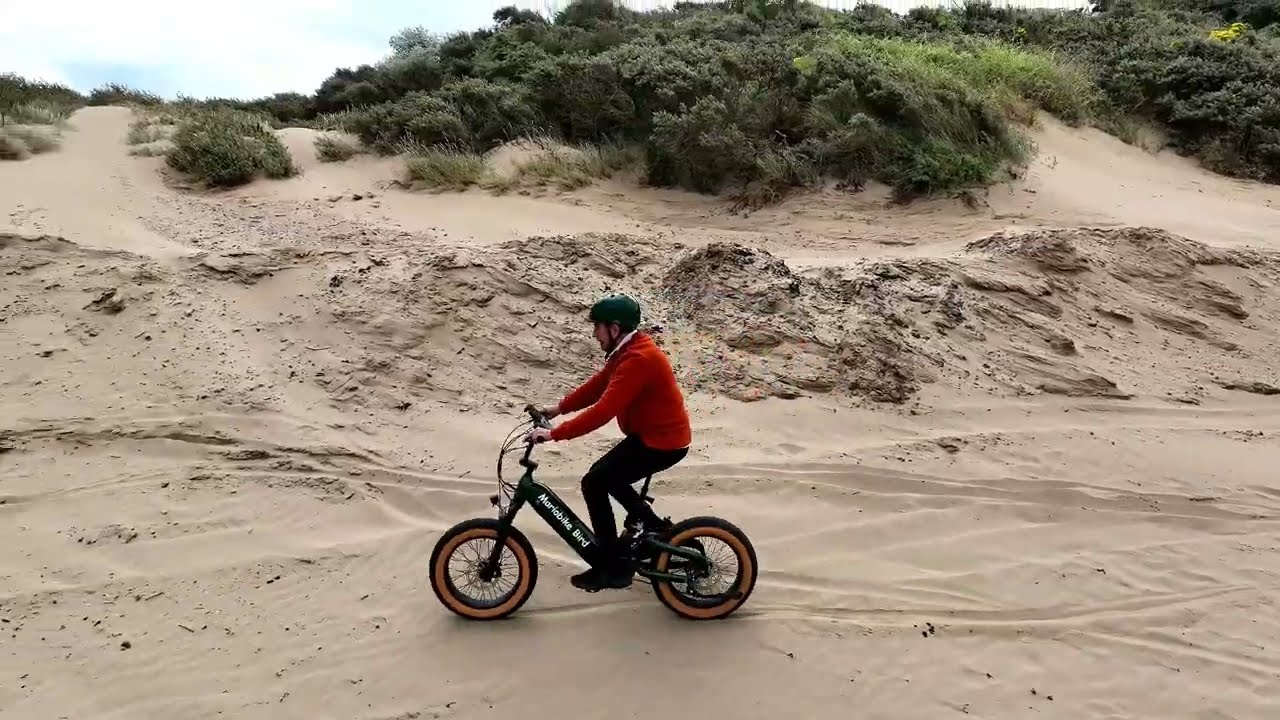 MarioEbike Bird 250 watt middrive 20x4 inch Fat Tyre eBike on the