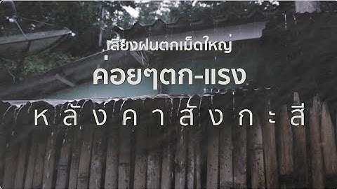 เสียงฝนตกเม็ดใหญ่  เสียงจากค่อยๆตก-แรง ใส่หลังคาสังกะสี กล่อมนอน #5ชั่วโมงต่อเนื่อง