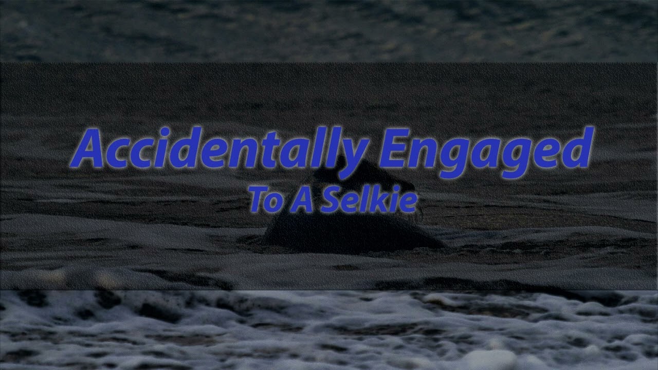 [M4A] Accidentally engaged to a Human [Strangers to More] [Selkie Listener] [Moving in] [Cuddles]