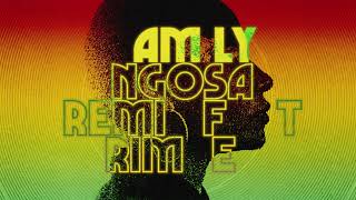 Emeli Sandé - Family [NGOSA Remix feat. Rimzee] (Visualiser)