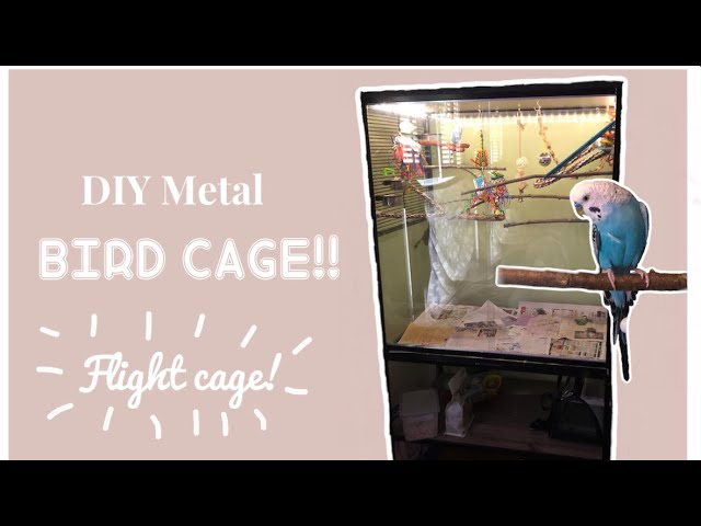 DIY | Metal Budgie Cage! - Glass cage class=