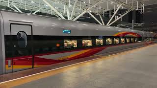 【暴走加速注意】高鐵復興號 CR400AF-S智能動車組(併節運行) G6057次 往惠陽 深圳北站 進站 出站