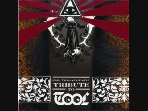 01 Forty Six & 2- The Electro-Acoustic Tribute To Tool