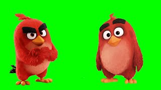 Animations Angry birds   green screen