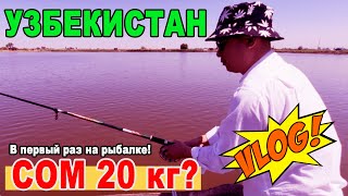 Узбекистан: Рыбное хозяйство/Чистые пруды/В первый раз на рыбалке/Сом на 20кг?