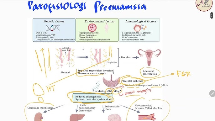 Birinchi marta sikli video suratga olish Kentavrlar jinsiy porno onlayn tomosha qilish