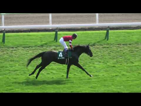 【函館記念2023】本馬場入場 現地映像 ローシャムパーク