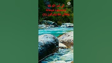 أتى أمر الله فلا تستعجلوه | تلاوة حزينة