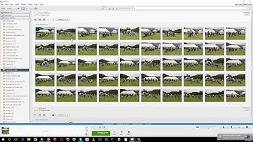 Resizing images for the web using Picasa