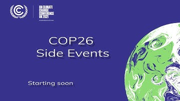 North American Climate Leadership and Strategies on the Road to Net Zero