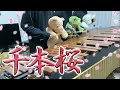 【マリンバ3重奏】ぬいぐるみたちの「千本桜」"Thousands of cherry blossoms" Teddy bears Marimba trio