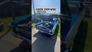 Beautiful Classic Chevy Nova! #chevy #nova #chevynova #cars #car #drive #shorts #driver #musclecars