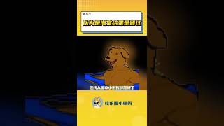 以為是海棠,結果是晉江!#鏈子 #小說 #網文 #雙男主