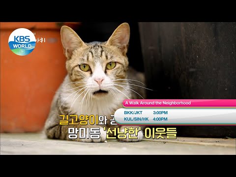 October 4 MON - Red Shoes / <strong>School</strong> 2017  and more [Today Highlights | <strong>KBS</strong> WORLD TV]