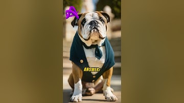 Quiz #114 #quiz #quiztime #brainteasers #testyourknowledge #quizmaster #trivia #quizshow #puzzle