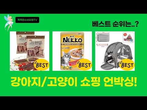 강아지/고양이 필수템 언박싱! 닥터할리 펫밀크 외 쇼핑 후기