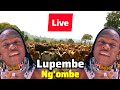 Lupembe Ng Ombe Zake Official Video Live