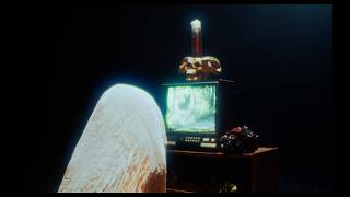 Spirit Leaves - Empty Flame (Official Lyric Video)
