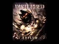 Disturbed - Warrior