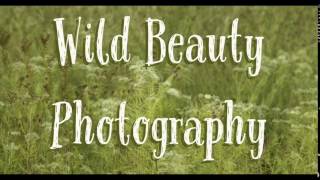 Trim 54575Db4 2F90 49Ee A6A7 Ccf4Ca7E53B5