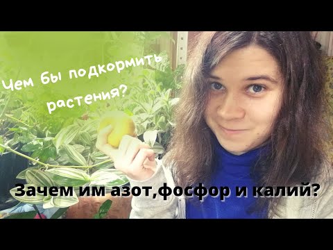 Зачем растениям азот, фосфор и калий | N:P:K