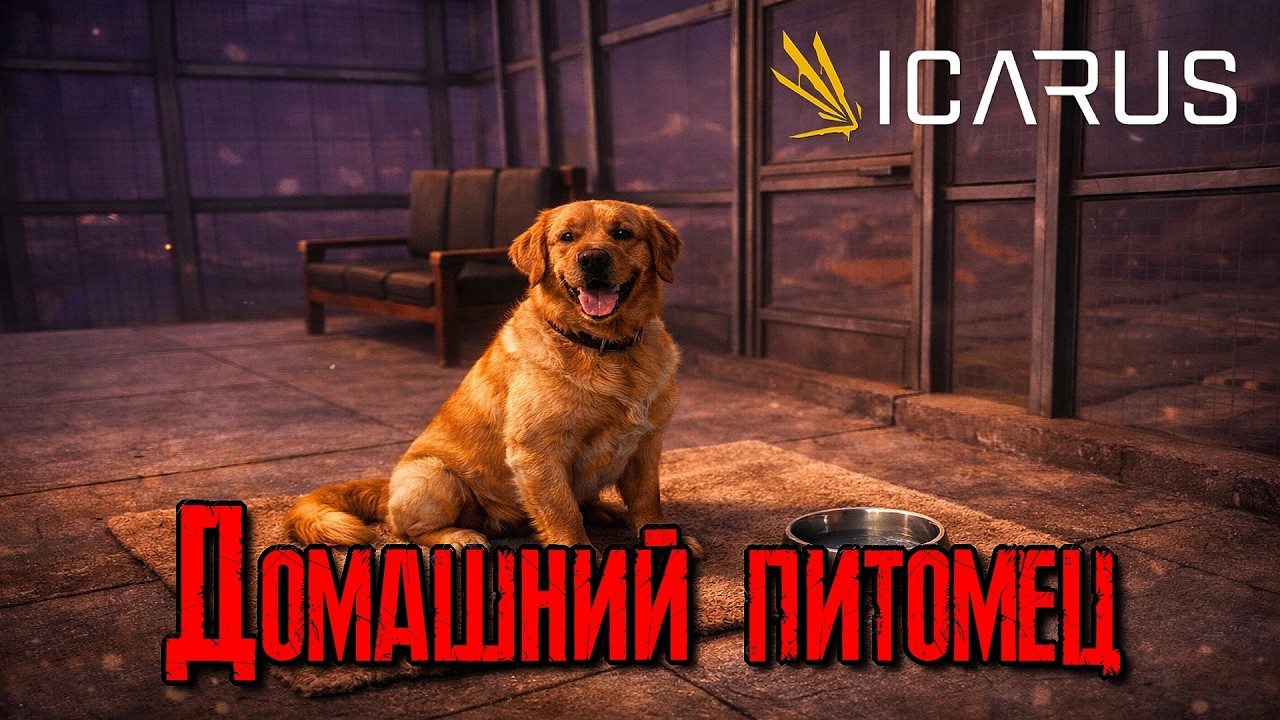 ICARUS Домашний питомец [2К]✅