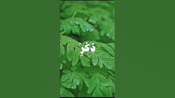 اكتب شي تؤجر عليه 🤍#القرآن_الكريم #تلاوة_خاشعة #قرآن #استغفر_الله #الله #الحمدلله