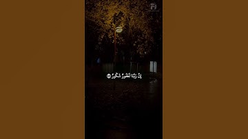 #سورة_فاطر  #ناصر_القطامي  #راحة_نفسية #قران_كريم
