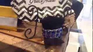 New Products I saw at Spring Sprint. New Grace Adele Bags 2014 in Novi MI.