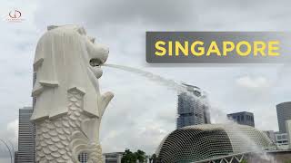 Introducing Decision Beyond Borders | Global Education News for Students