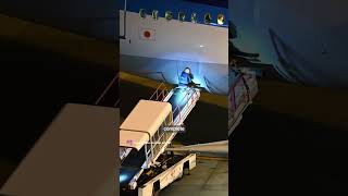 Seated and Sealed! (Japanese Ground Crew Closes ANA Boeing Baggage Hold)