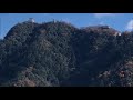 ひまわりクラブうきよ川  長保有紀