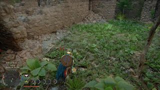 Crimson Desert - PS5 - Gameplay - Pt 83 - Boss: Merrick, Il Cavaliere D'oro