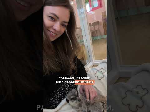 Маму обокрали в Сеуле #жизньвкорее #переездвкорею #корейскийязык