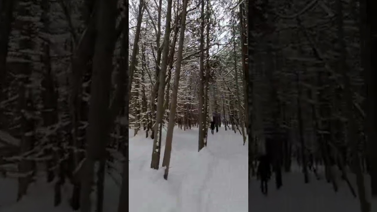 winter Hike 