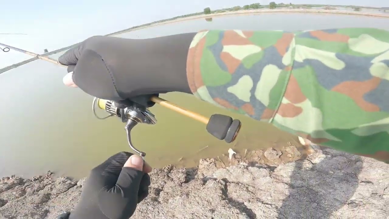 Lần đầu chạm cá Măng ! 