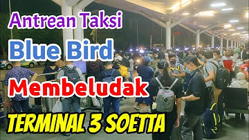 Antrean Taksi Membeludak di Terminal 3 Bandara Soetta