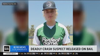 Celebrity Driver charged in deadly Malibu crash posts bail Profile