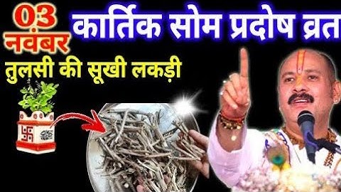 🔱 3 नवंबर कार्तिक सोमवार प्रदोष व्रत 2025 | तुलसी की सुखी लकड़ी का चमत्कारी उपाय | Pradeep Ji Mishra