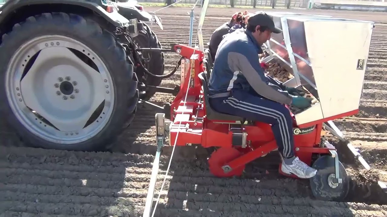 F300L Potato Planter by Checchi & Magli