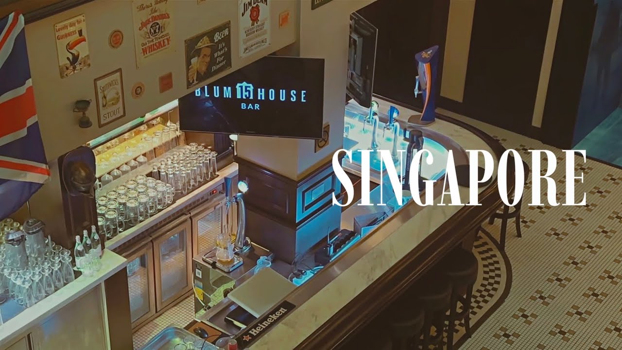 A Night We’ll Never Forget | Singapore Travel Vlog 🇸🇬