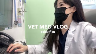 (eng sub) 대형동물병원에서 근무하는 수의사 Vlog