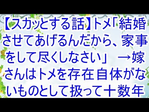 【スカッとする話】トメ「結婚させてあげるんだから、家事をして尽くしなさい」　→嫁さんはトメを存在自体がないものとして扱って十数年…