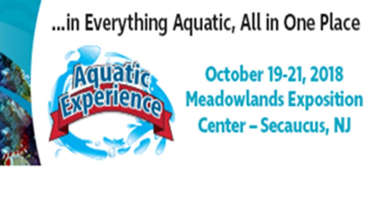 Let's Talk The Aquatic Experience!