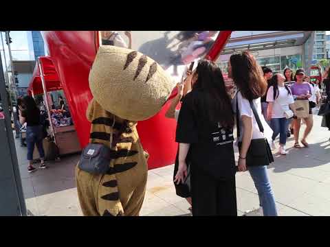 JHKTV] 신촌 명물고양이 나도껴줘 shin chon special <strong>cat</strong> <strong>Same</strong> as me.
