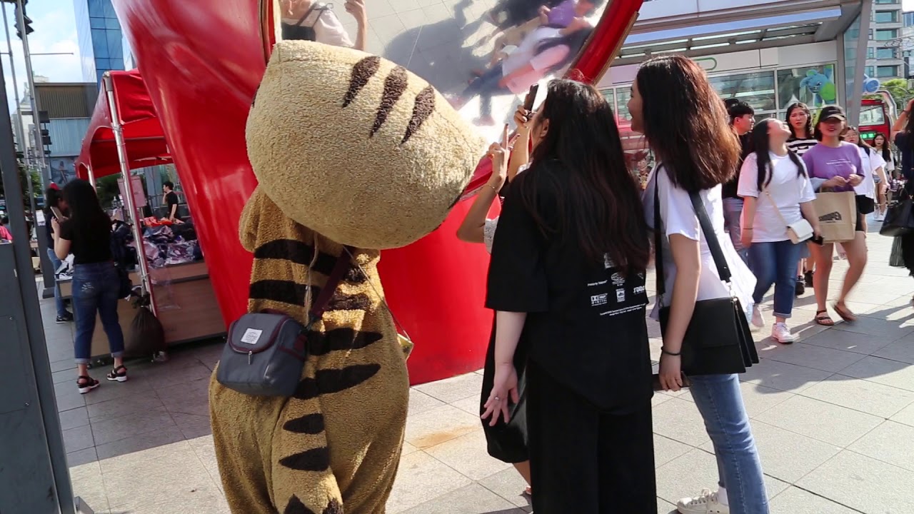 JHKTV] 신촌 명물고양이 나도껴줘 shin chon special cat Same as me.